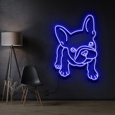 "French Bulldog Puppy" Pet Neon Sign 60cm / Blue / Cut to Shape by Neon Icons