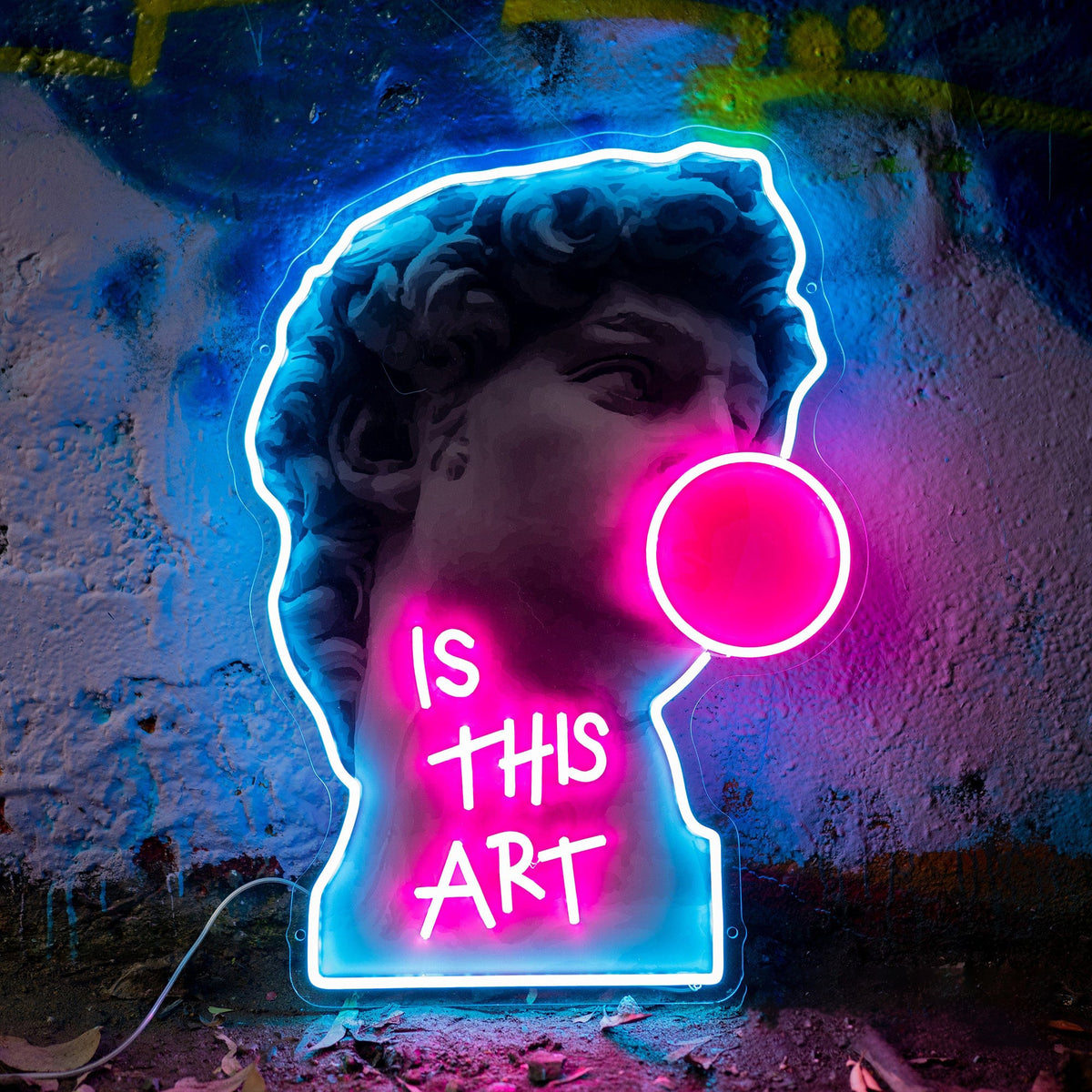 "Is This Art?" Neon x Acrylic Artwork